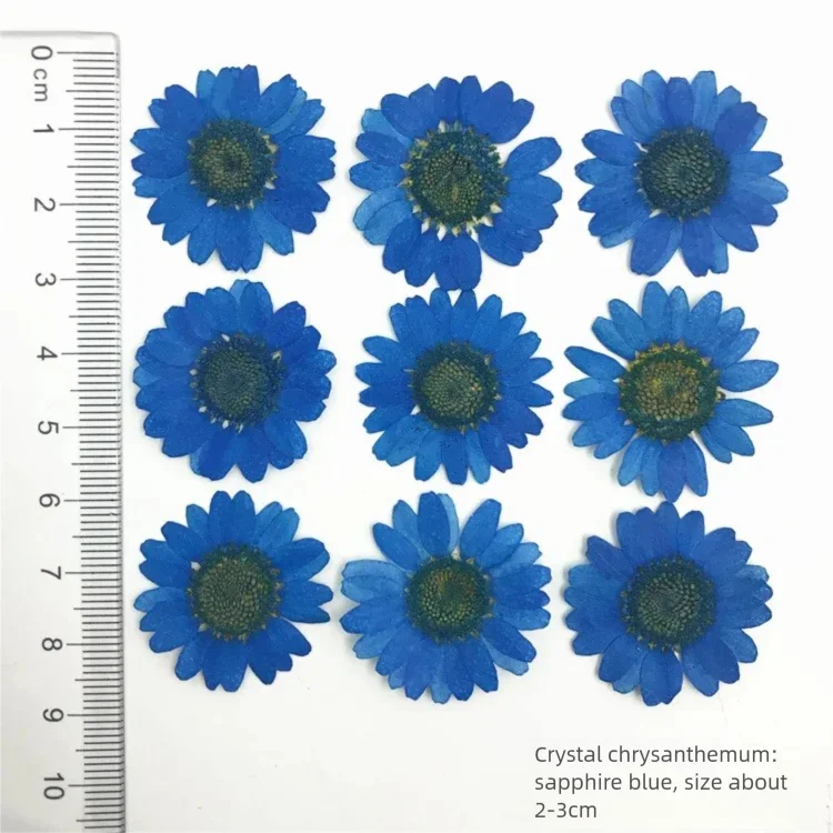 100 stuks geverfde chrysanten  - Dried Flower Bookmark recensie en prijs