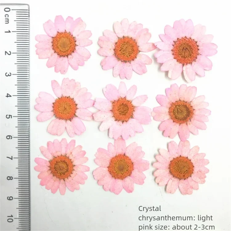 100 stuks geverfde chrysanten  - Dried Flower Bookmark recensie en prijs