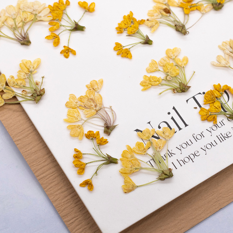 24 stuks, natuurlijke echte ge - Dried Flower Bookmark recensie en prijs