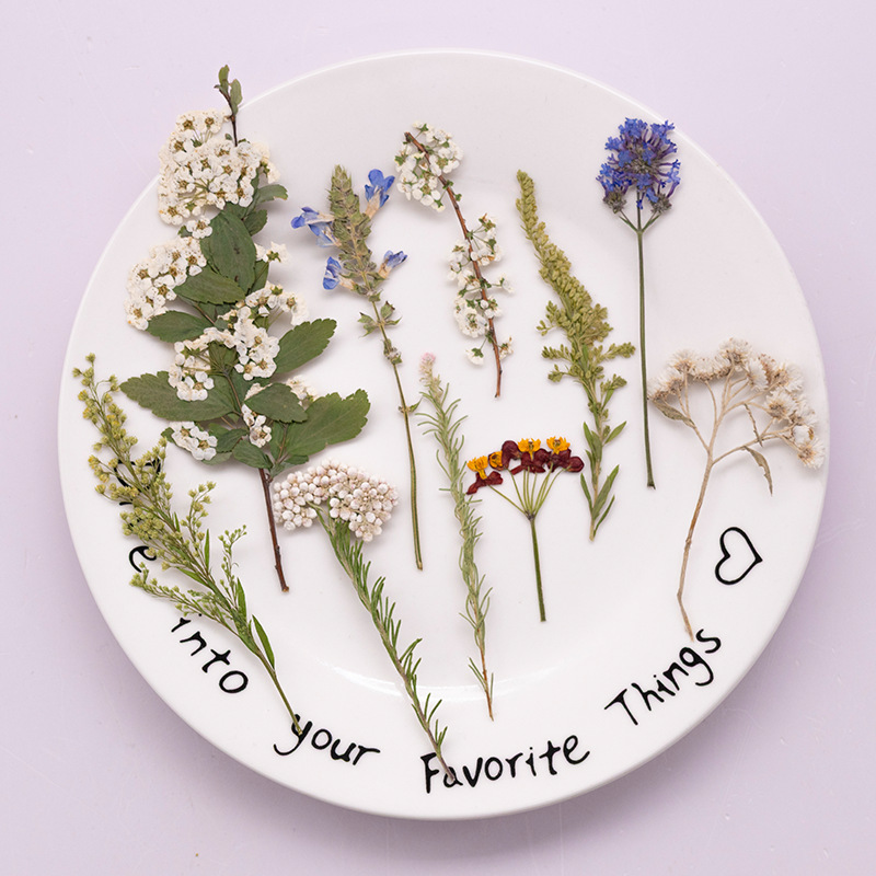 500 stuks groot pakket geperst - Dried Flower Bookmark recensie en prijs