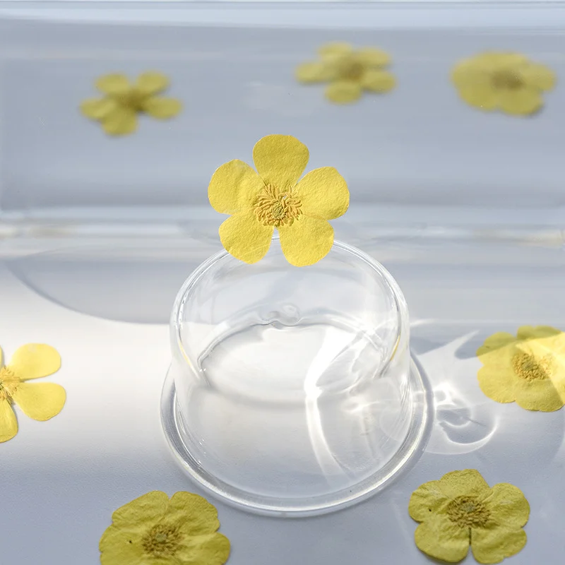 100 stuks Ranunculus gedroogde - Dried Flower Bookmark recensie en prijs